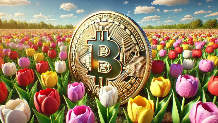 Биткойн против Тюльпаномании: Почему это сравнение не выдерживает критики