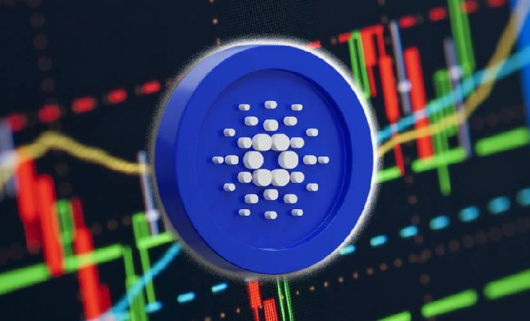 Цена Cardano выросла на фоне объема крупных транзакций