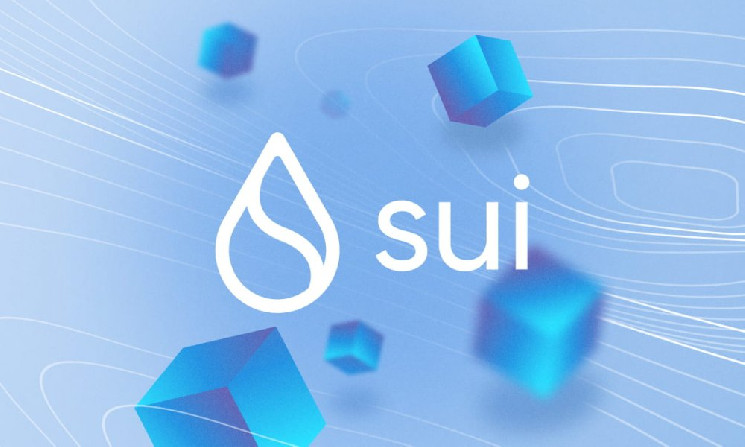 
			Глава Router: &laquo;Sui растет благодаря отличному опыту разработчиков&raquo;		