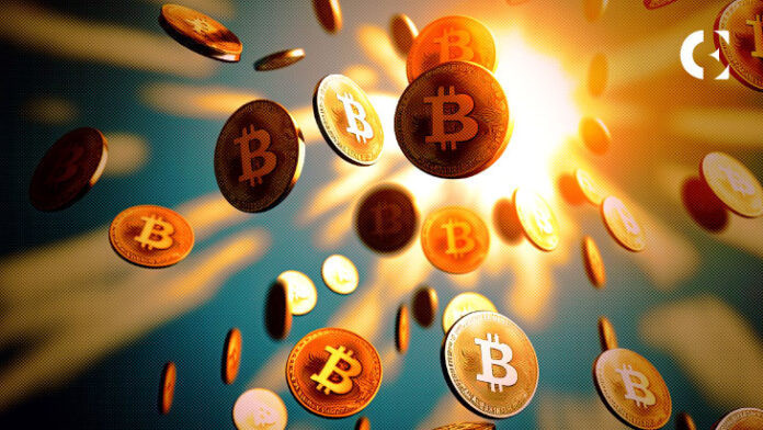 
			Падение биткоина: является ли это возможностью для покупки в 2024 году?		