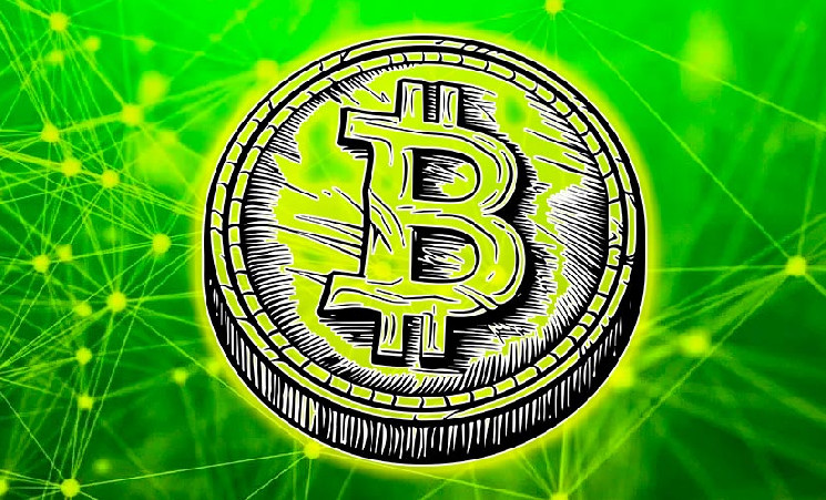 Rainforest Foundation планирует создать биткоин-резерв