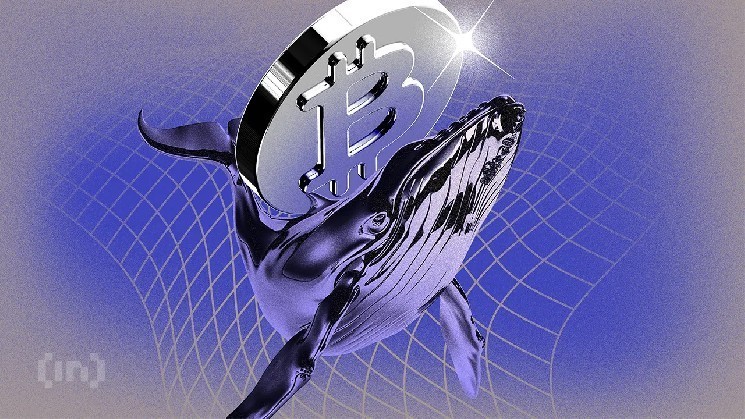 Киты выводят биткоины с бирж. Готов ли BTC к росту