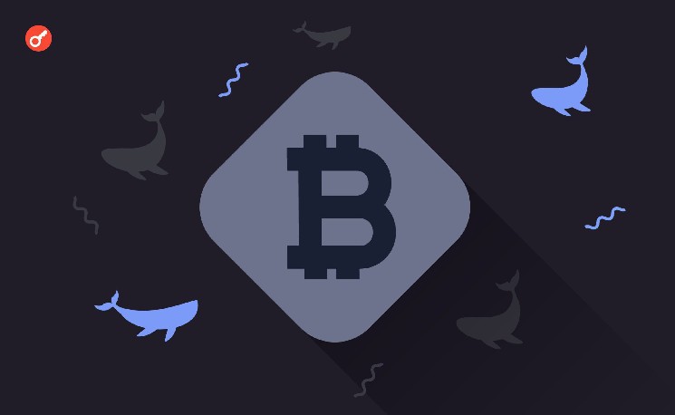 
			Биткоин-кит переместил 61 BTC после более 11 лет бездействия		