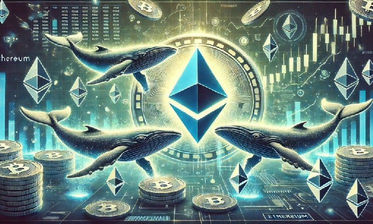Киты и акулы Ethereum продолжают скупать ETH, розничные трейдеры обналичивают средства
