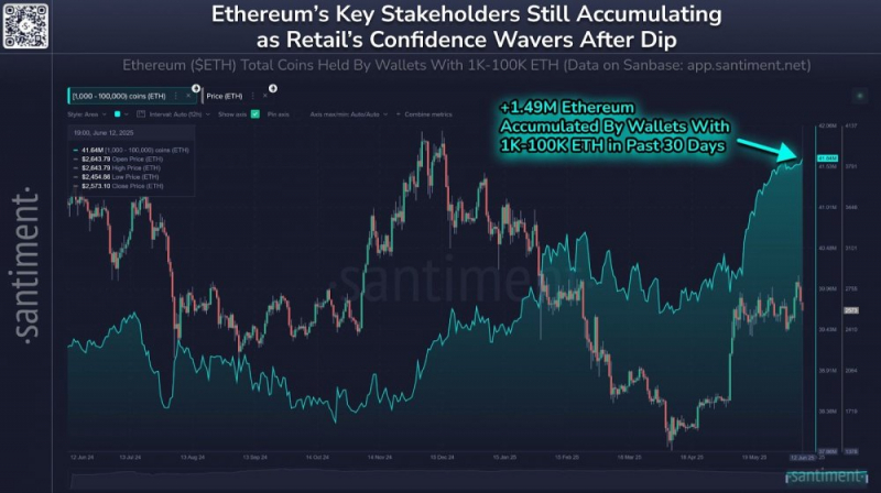 Киты и акулы Ethereum продолжают скупать ETH, розничные трейдеры обналичивают средства