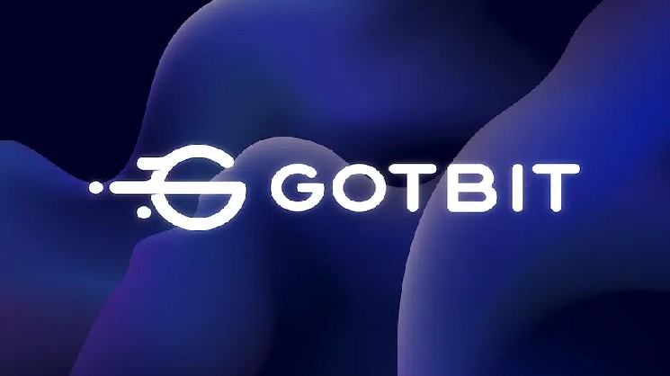 
			Основатель российского маркетмейкера Gotbit смог избежать тюрьмы в США		
