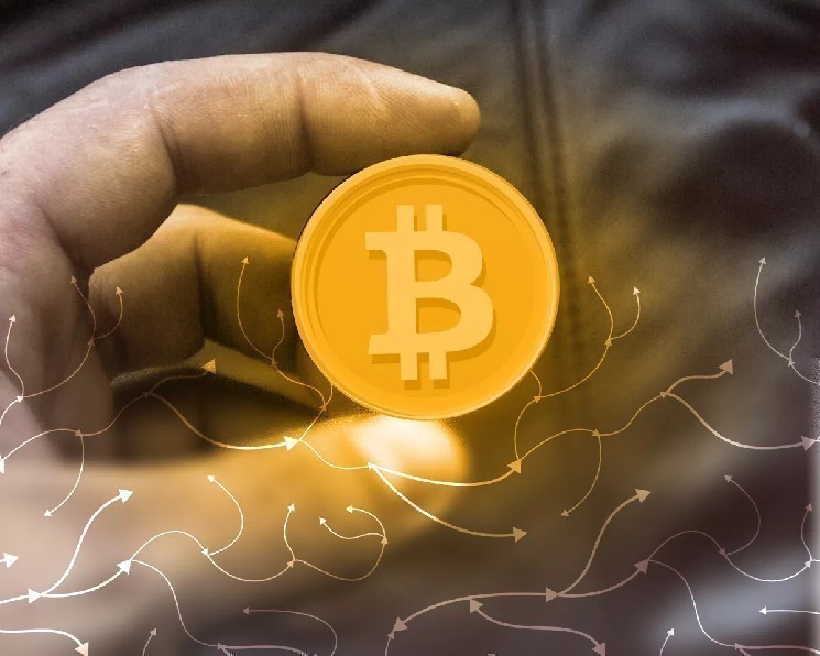 
			CIO Bitwise подтвердил &laquo;смерть&raquo; циклов биткоина		