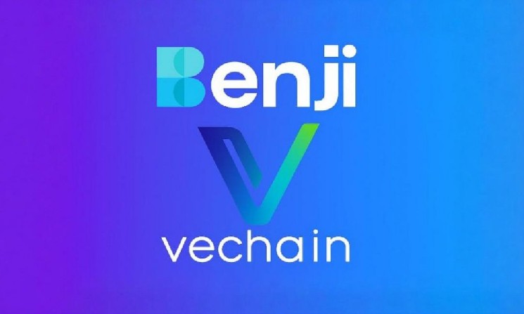
			Franklin Templeton интегрирует платформу BENJI в&nbsp;сеть VeChain для&nbsp;корпоративных платежей		