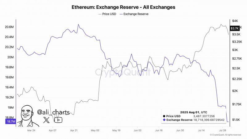 Ethereum вырос на 60 %