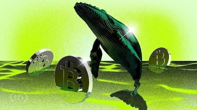 «Акулы» подбросили биткоин (BTC) выше $115 000. Сможет ли он там задержаться