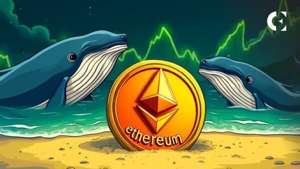 
			Киты Ethereum накопили $230 млн, поскольку балансы бирж стали отрицательными		