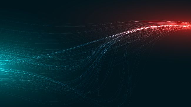 PayPal добавит PYUSD в сеть Stable