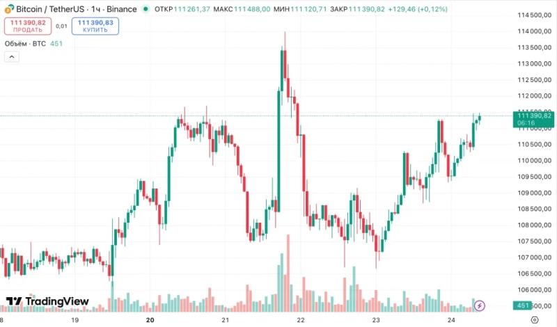 
			Соло-майнер добыл блок в сети биткоина и заработал $347 455		