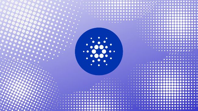 
			CEO Galaxy: XRP и Cardano могут потерять свою актуальность		
