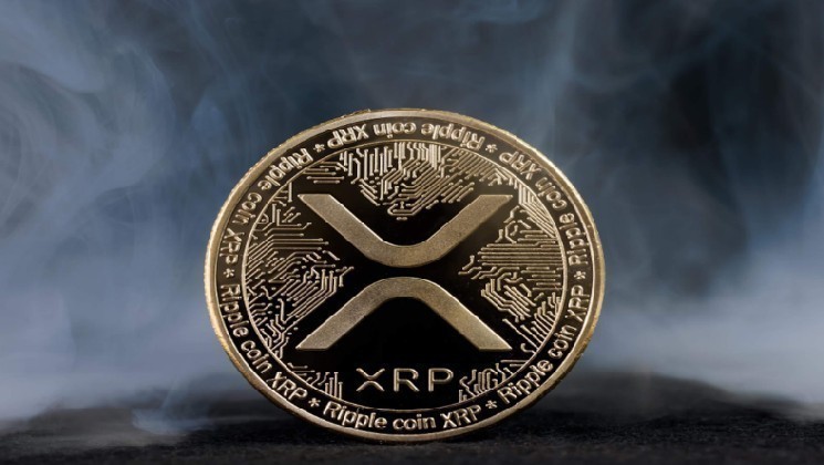 По словам известного генерального директора, XRP — это не просто альткоин! Сейчас его используют и в этой сфере!