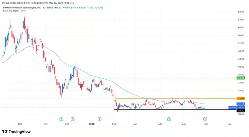Акциям BitMine грозит падение из-за резкого оттока средств из ETF-Ethereum